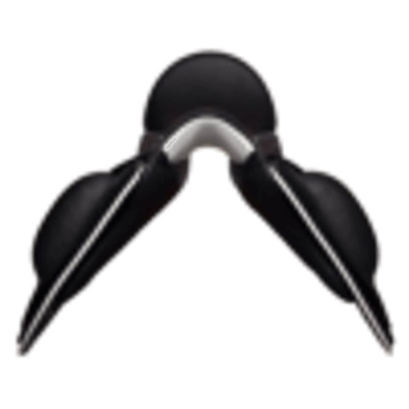 BNL Dressursal ProLight Bi-NateLine®